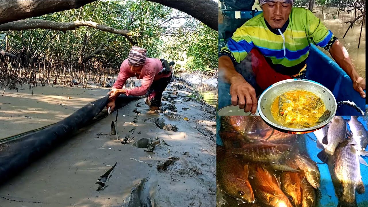 Pasang Perangkap Ikan Kakap dan Bermalam Panen Banyak Kakap Besar Langsung Masak Kakap Kuah Kuning