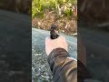 Rugged obsidian 45 on ruger mark iv