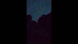 First attempt to record fireflies in the rain