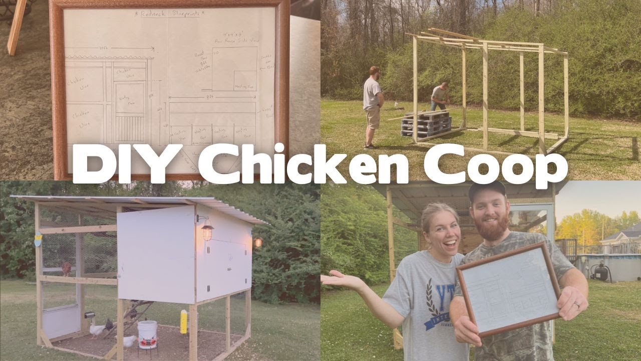 DIY Chicken Coop with Redneck Blueprints YouTube
