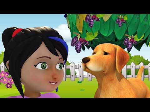 Here We Go Round the Mulberry Bush🌳| Fun Kids Songs by Robogenie