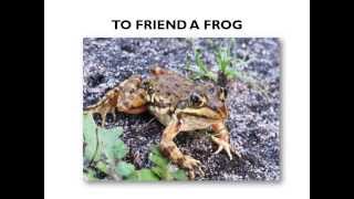 Frog Project Presentation