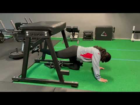 Reverse Hyper-extension Leg Kickback