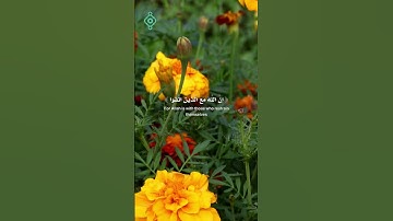 الآية 127و 128 من سورة النحل القارء الشيخ صلاح بو خاطر ‏ #اكسبلور
