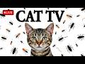 🔴12HOURS LIVE : Best Cat Games Videos 2025 – Endless Entertainment for Cats Ep115🐞 🐝🐞🦋