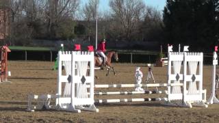 cso bouloc 2017-03-26 poney1 albane c1crack