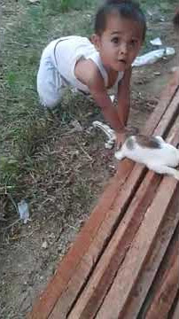 viral ! ada kucing garong