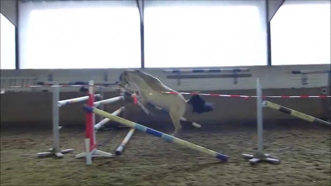 Freispringen Alfi 29-12-13