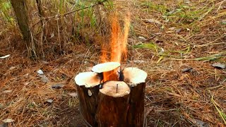 Swedish Torch  | Survival Project | Bushcraft Camping