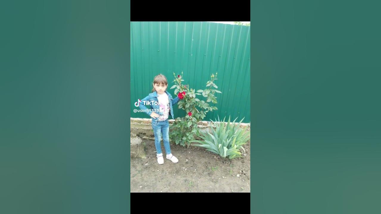 моя дочка - YouTube