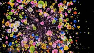 Nusu Ngitaa - Ndatani Boyz Band Vol 2 Official