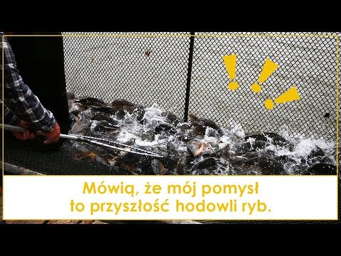 Mówią, że mój pomysł to przyszłość hodowli ryb.