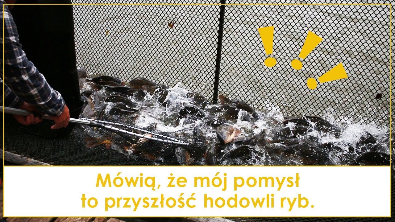 Mówią, że mój pomysł to przyszłość hodowli ryb.