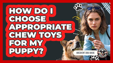 How Do I Choose Appropriate Chew Toys For My Puppy? - Obedient Dog Guide