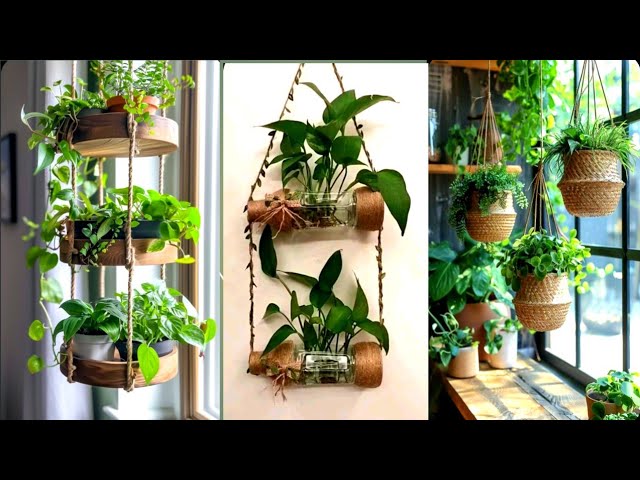 Hanging Plants for Any Space: Transform Your Home or Garden!
