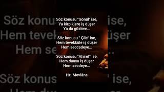 Gönlünüze Dokunacak Muazzam Bir Hakikat ⚖️
