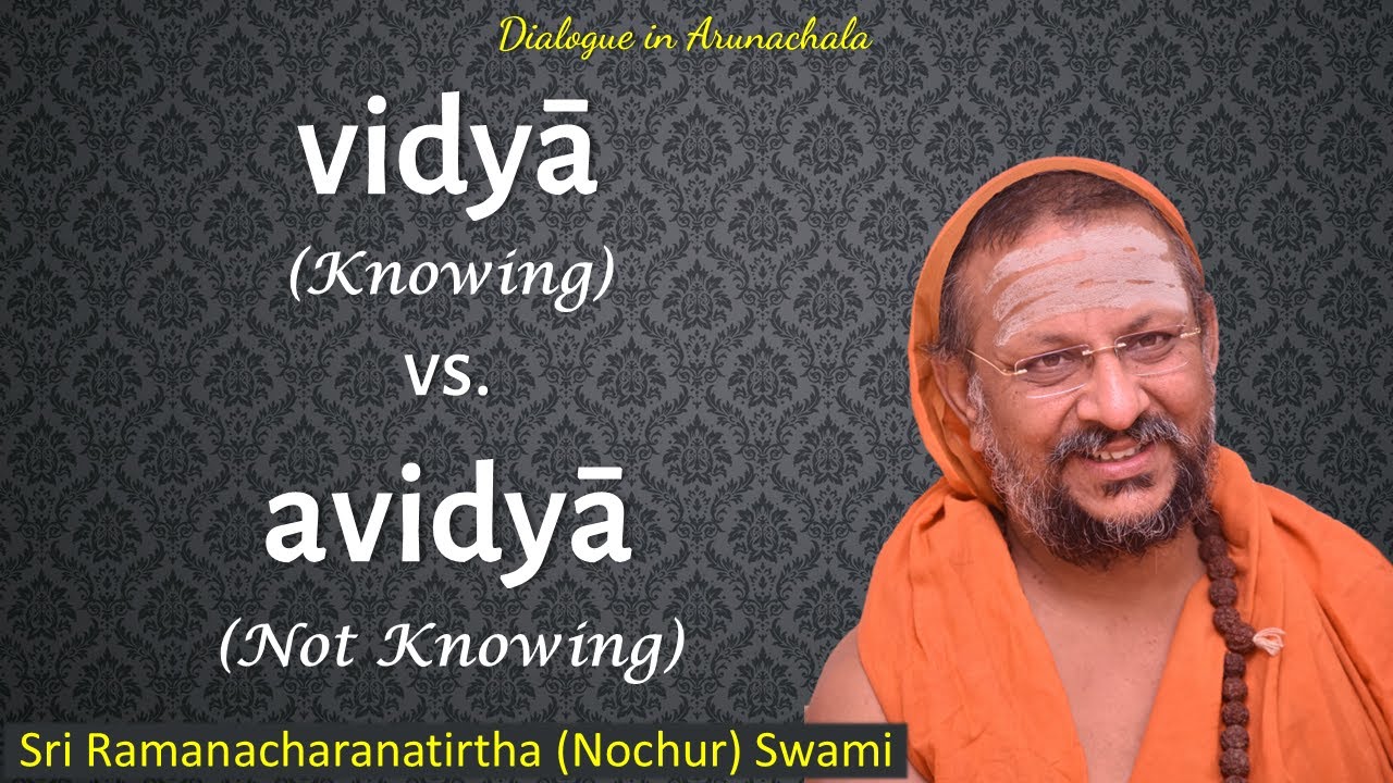 Vidya (Knowing) vs Avidya (Not Knowing) | Dialogue in Arunachala | English w Hindi subtitles | 2025