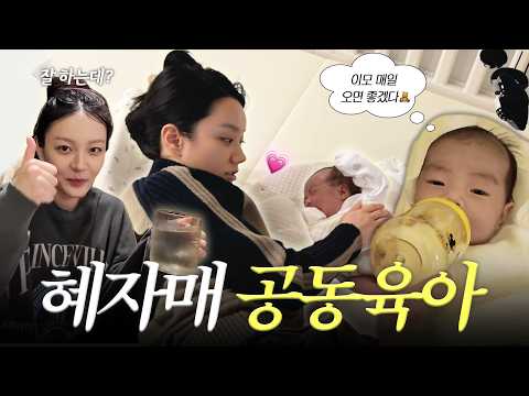 [VLOG] 온 마을이 키우는 삐약이🐥 | 조리원꿀템