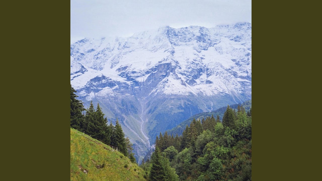 Sunsets & Silhouettes