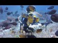 綠島潛水 (Diving in Taiwan - Green Island)