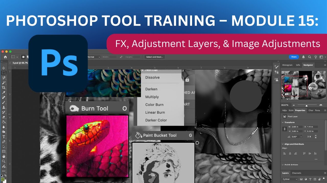 Photoshop 2025 Tool Training – Module 15: FX, Adjustment Layers, and Image Adjustments