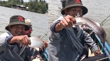Câu Cá Ngát Sông _ Trở lại bến câu cũ, bắt được toàn những loại cá ngon | Săn Bắt Ba Vát | #72