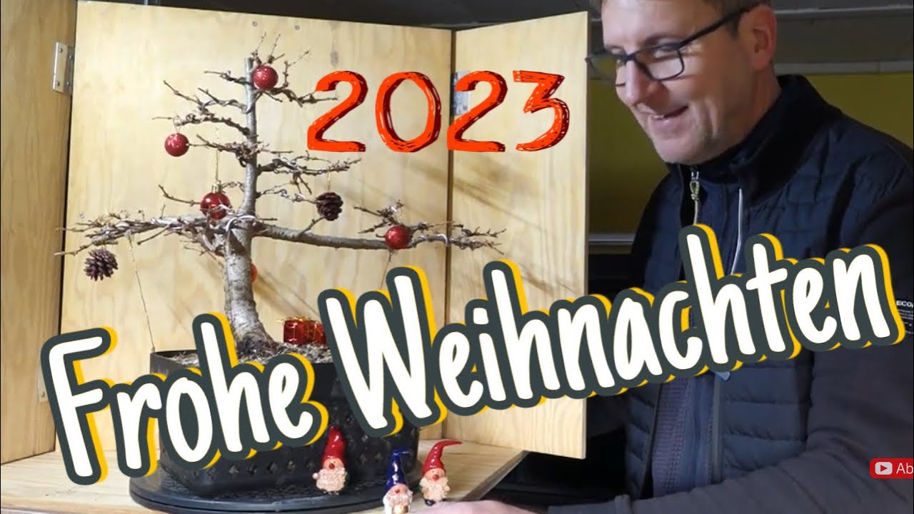 Weihnachtsspecial  zum Jahresabschluss, Pre-Bonsai 2023/46