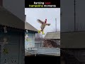 ranking the best trampoline moments #funny #fails
