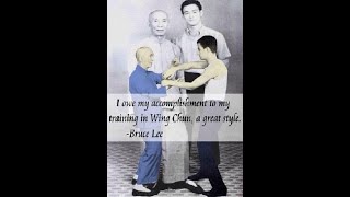 Wing Chun Kung Fu Siu Nim Tao part 3d - tui sau (clearing hand, final section) Ving Tsun.