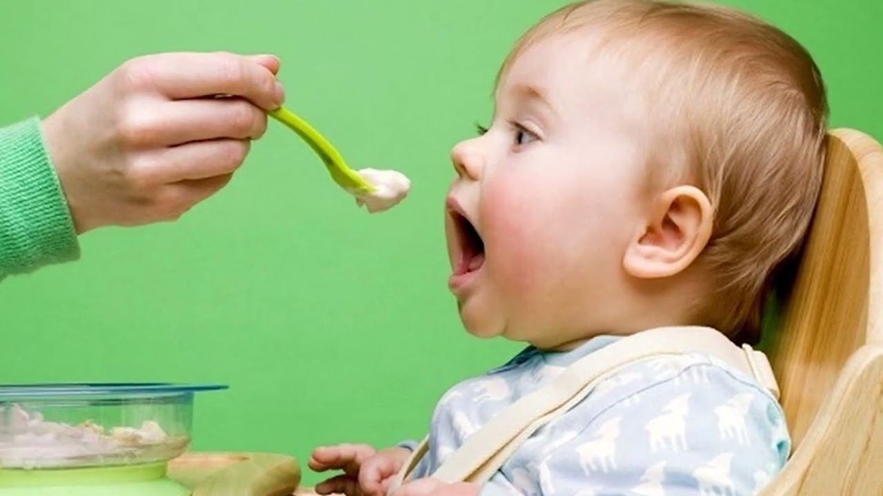 درس چهاردهم تغذیه