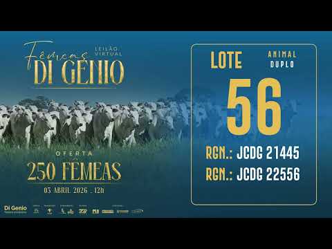 LOTE 56 JCDG 21445 22556