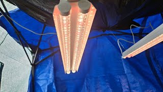 $20 walmart grow light and timer!🪴😶‍🌫️👌