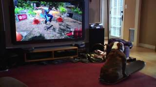 Skateboarding dog plays video game