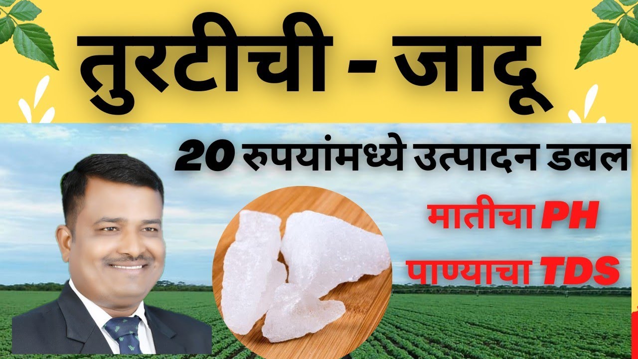 मातीचा PH कमी करण्यासाठी तुरटी चा उपयोग l Potassium Sulphate in Farming l Alum