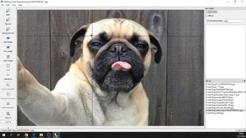 AI #1 การทำ dataset แบบ Object Detection ชนิด VOC