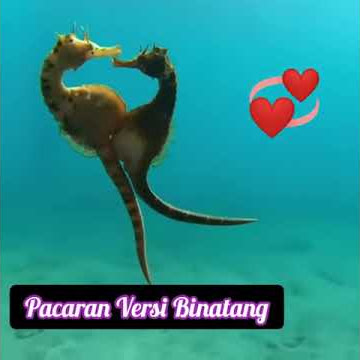 LUCU BANGET...!!! Pacaran Versi Binatang...