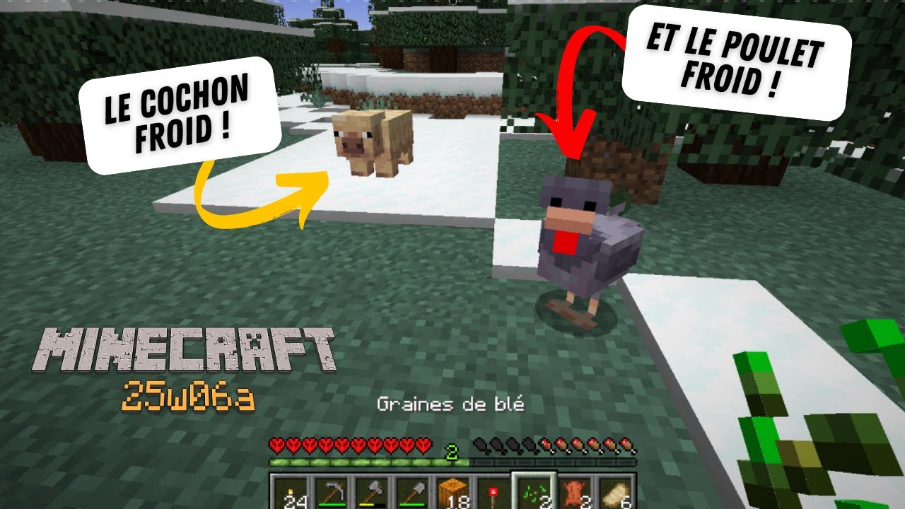 Cold chicken, cold pig and cold cow in this video ! 