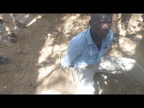 شرك ام زريدو غرب كردفان بابنوسة