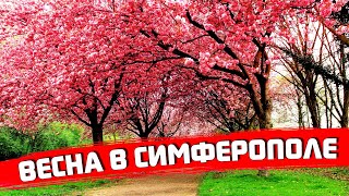 Весенний Симферополь / Просто прогулка