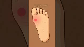 meaning of twitching in the upper left side of the left leg #shortfeed #shortvideo #shorts #primb...