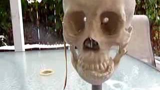 Skull Test
