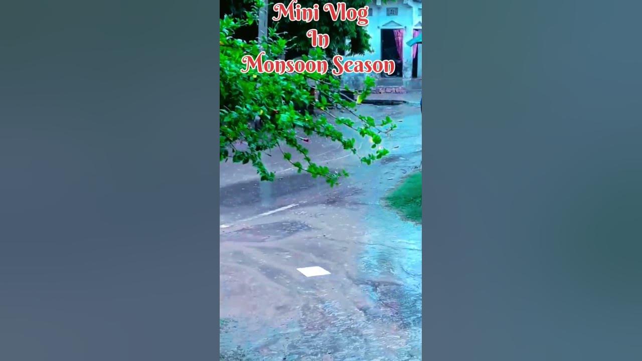 Beautiful Rain 🌧️ on my Village ••Rainy Season song with view#monsoon#shorts#rain #viral