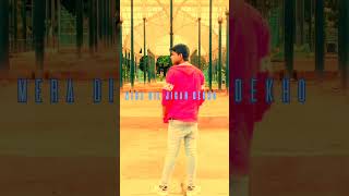 Mera Dil Jigar dekho kitne gaum jhele hai