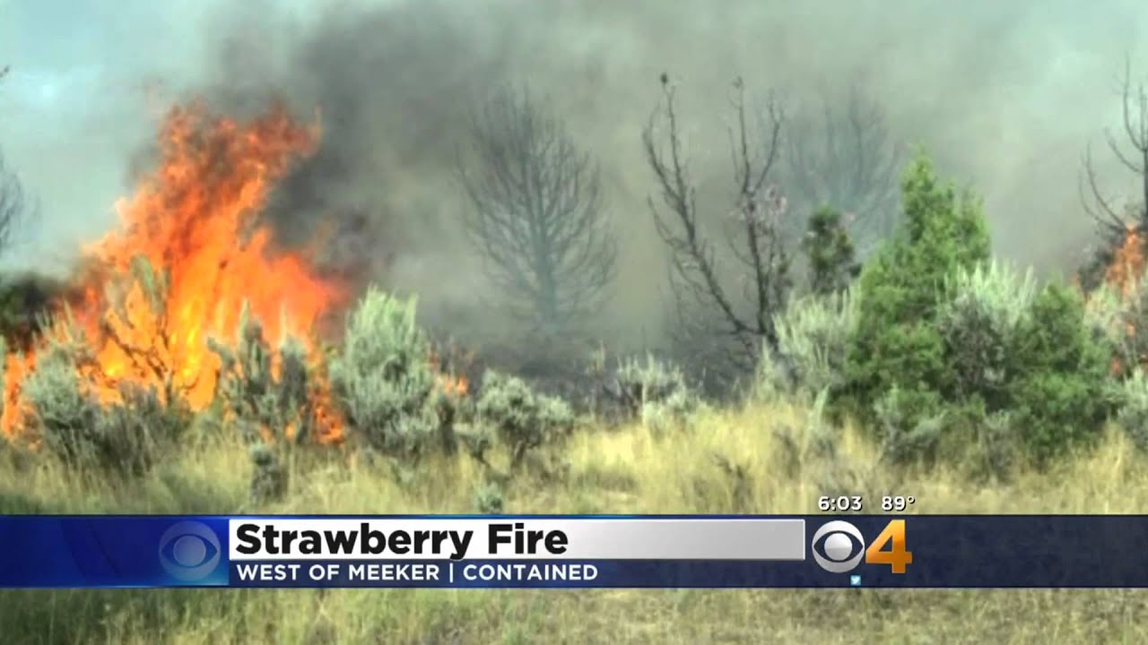 Strawberry Fire Fully Contained YouTube