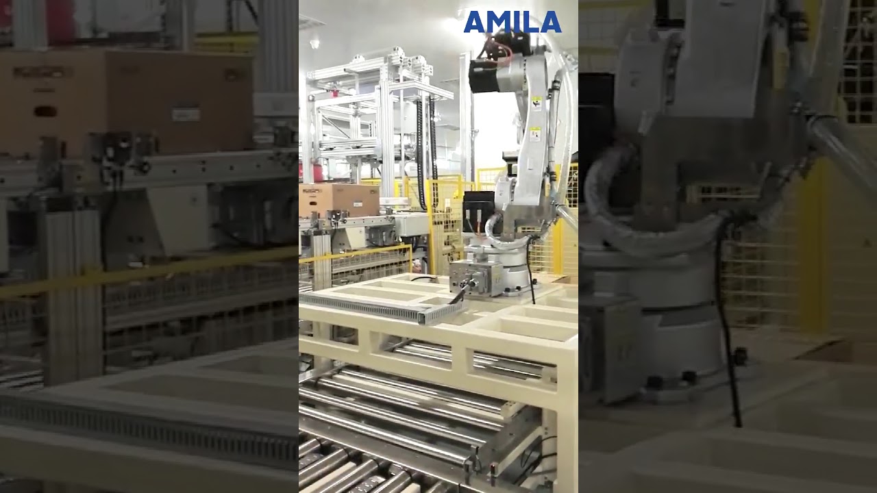 Personalized Design Between Vacuum Foam Gripper and Robot, Transpost and Stack Cartons.