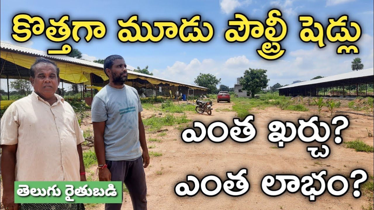 మూడు పౌల్ట్రీ షెడ్లు వేస్తున్నం.. ఒక్కో షెడ్ ఖర్చు 15 లక్షలు | Telugu Rythubadi