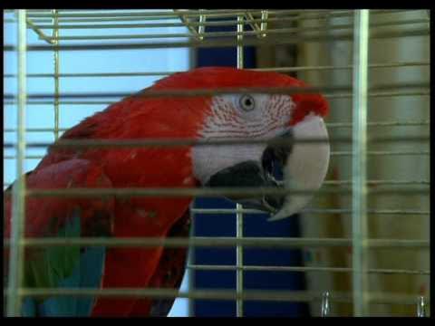 Қонақүйлерде онлайн порно көру Әкесі мен қызы керемет жыныстық қатынасқа түседі