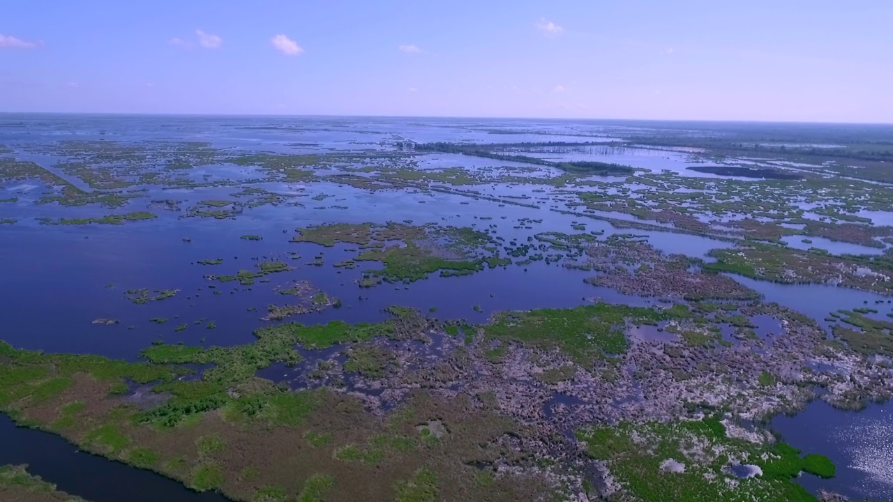 Ryman Property Chauvin, LA YouTube