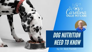 Everything you need to know about dog nutrition