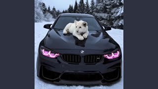 Ralli Feel